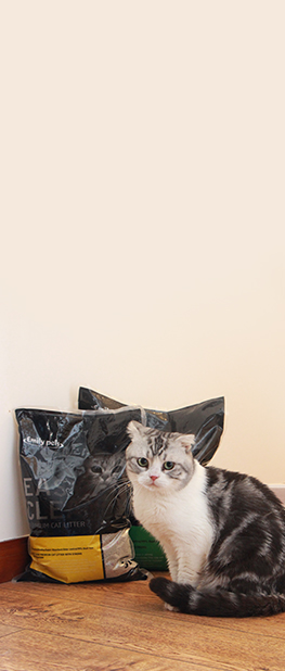 貓砂產品